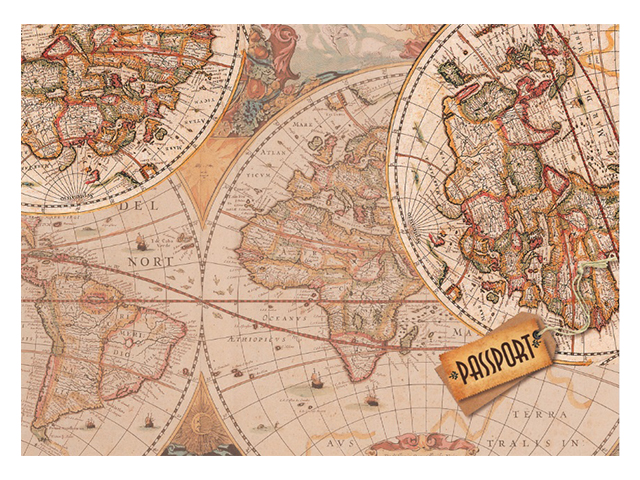 Обложка для паспорта Фора "Карта коричневая" ПВХ
