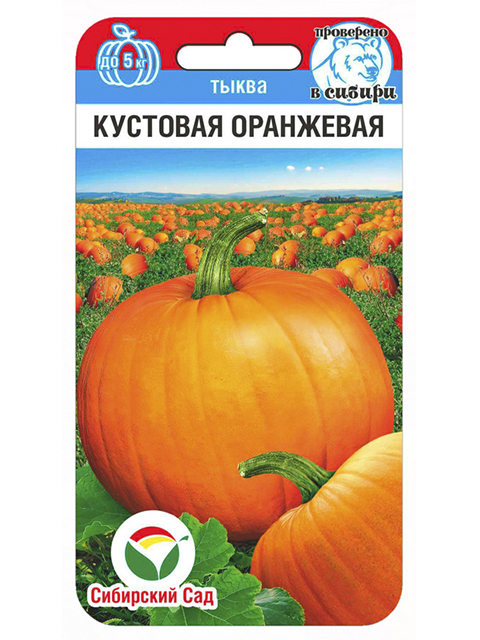 Тыква Кустовая оранжевая 5 шт. (Сиб Сад)