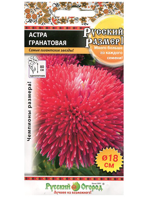 Астра Гранатовая Русский размер II ц/п, 0,2г