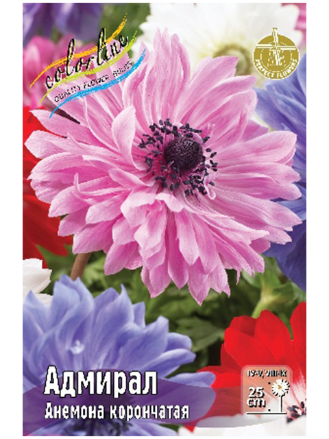 Анемона Адмирал, 4/5, фас. 5шт (Эконом)