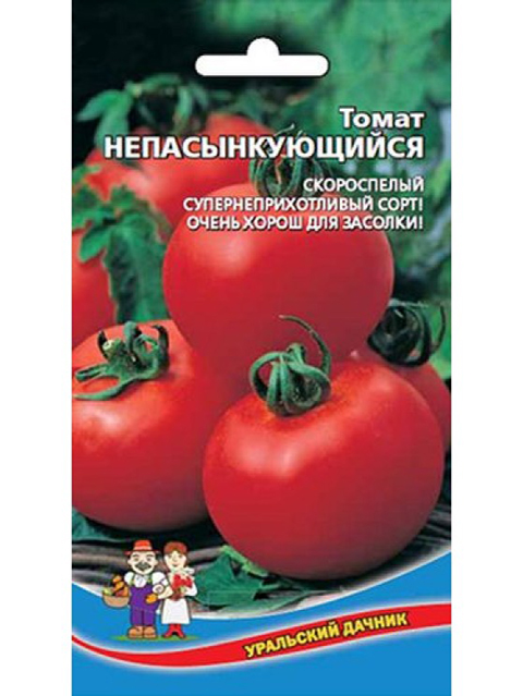 Томат Дачник Характеристика Фото