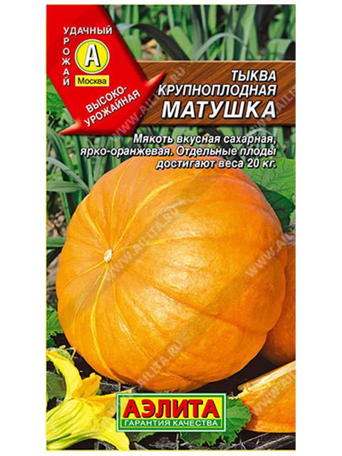 Тыква Матушка, крупноплодная ц/п, 1г