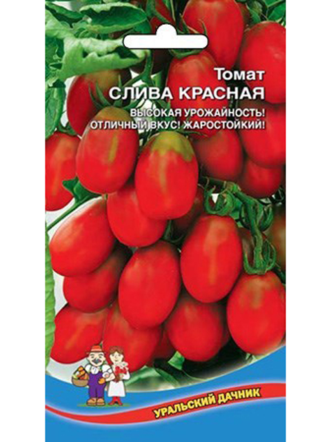 Томат сливовка. Слива красная томат Уральский Дачник. Семена томат "сахарная слива красная "0.1 г. Томат сорт сахарная слива. Томат слива черная.