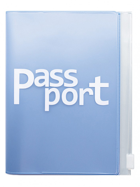 Обложка для паспорта ДПС, с карманом на молнии, светло-голубая, ПВХ