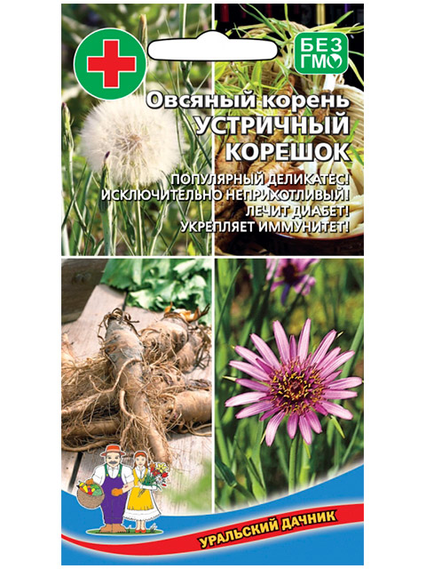 Salsifi. овсяный корень устричный. козлобородник пореелистный корень. съедобные корни. овсяный корень устричный корешок.