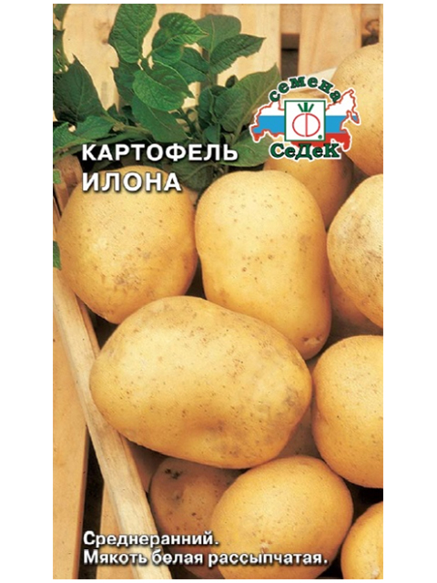 Картофель Илона, ц/п