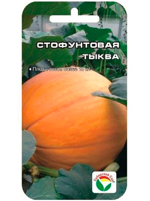 Тыква Стофунтовая, 5 штук, ц/п, Сибсад