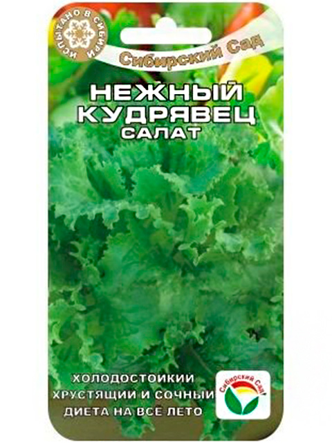 Салат Нежный кудрявец 1гр. ц/п Сибсад