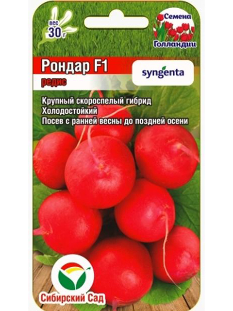 Редис Рондар F1, 60 штук, ц/п 
