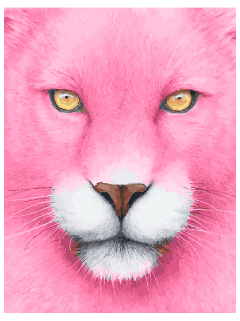 Картина по номерам "PaintBoy. Розовый леопард" 40*50см