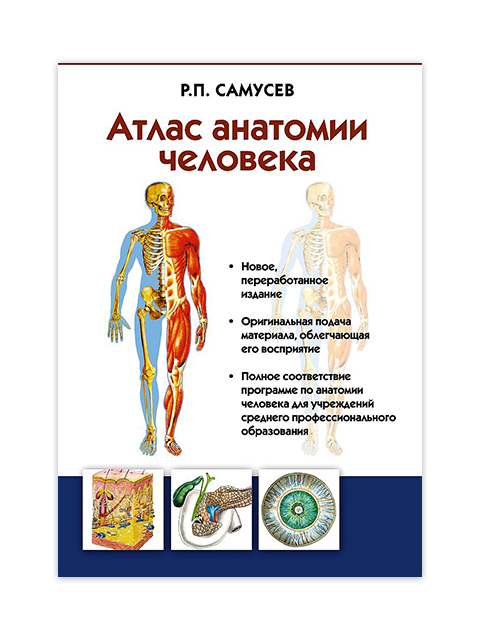 Атлас анатомии человека | Самусев Р. / АСТ / книга А5 (12 +)  //