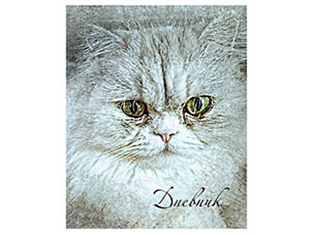 Дневник для старших классов Академия Холдинг "Пушистый кот" интегральная обложка