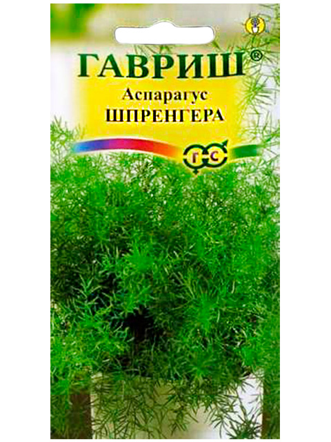Аспарагус Шпренгера, ц/п, 5 штук