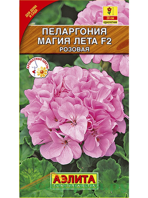 магия лета отзывы