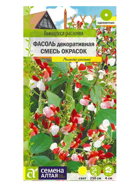 Фасоль вьющаяся смесь окрасок. Семена фасоль огненно-красная вьющаяся. Фасоль огненно-красная семена. Семена фасоль цветы. Фасоль декоративная победитель.