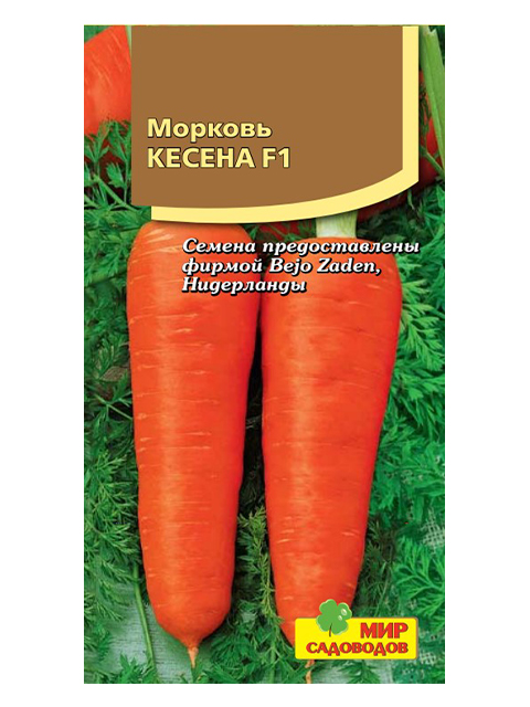 Морковь Кесена F1 ц/п, 180 штук