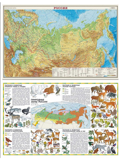 Карта Россия. Физическая. 1:14,5М настольная 58х37см, двухсторонняя