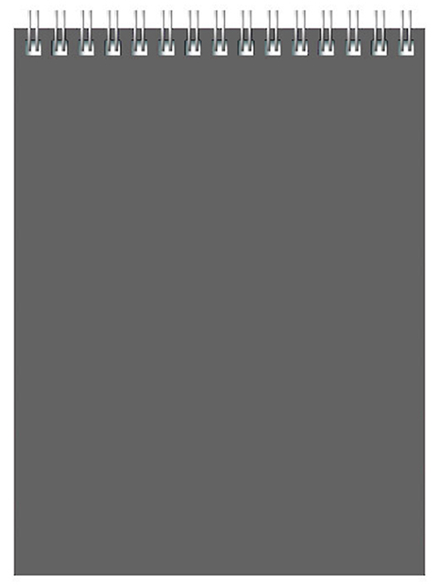 Блокнот А6 60 листов клетка БиДжи "Для Конференций (серый)", обл. картон, на гребне