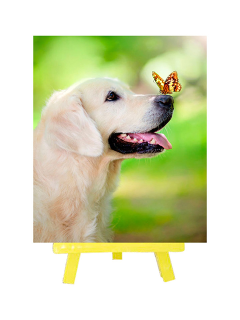 Набор для творчества Mazari "Алмазная мозаика. Собака с бабочкой" 21х25 см, с мольбертом