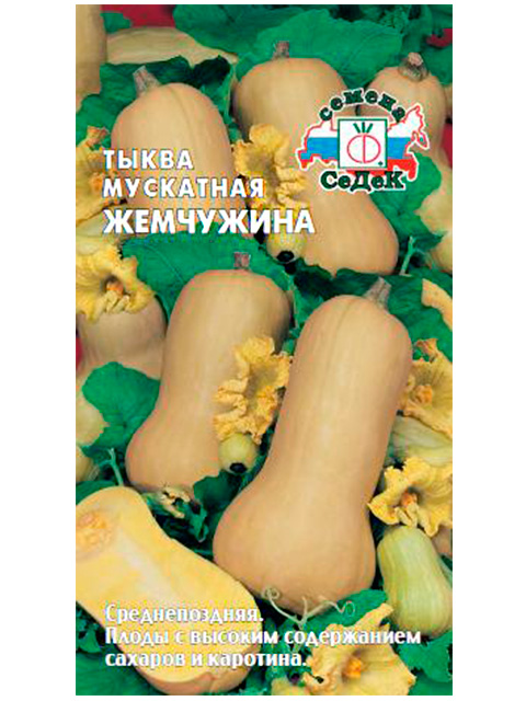 Тыква Жемчужина мускатная, 1,5 гр. ц/п