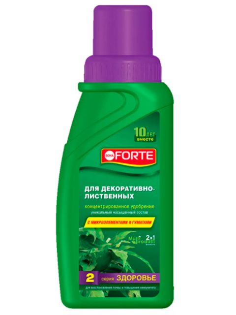 Bona Forte Для декоративно-лиственных, ЗДОРОВЬЕ, флакон 285 мл.