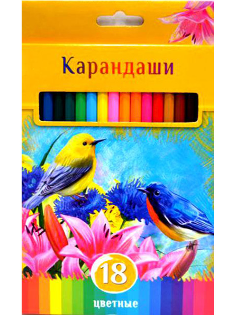 Карандаши сколько цветов. Карандаши 18цв. Цветные карандаши 24 цвета. Цветные карандаши 18 цветов. Цветочки цветными карандашами.