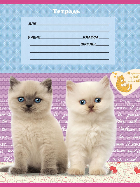 Тетрадь А5 18 листов, линия PROFIT "Котята на цветном фоне" обл. мелов. картон