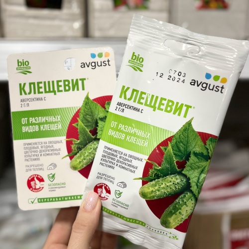 Защити свои растения от паутинного клеща!