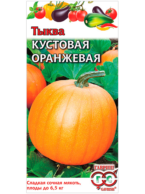 Тыква Кустовая оранжевая, 1,0 г, ц/п R