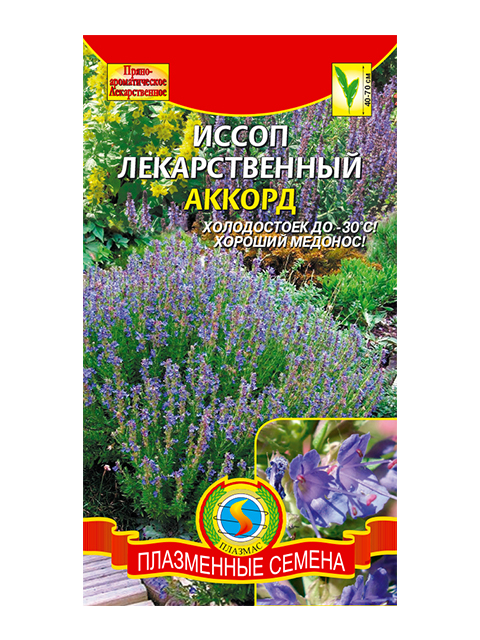 Иссоп Лекарственный Аккорд ц/п 