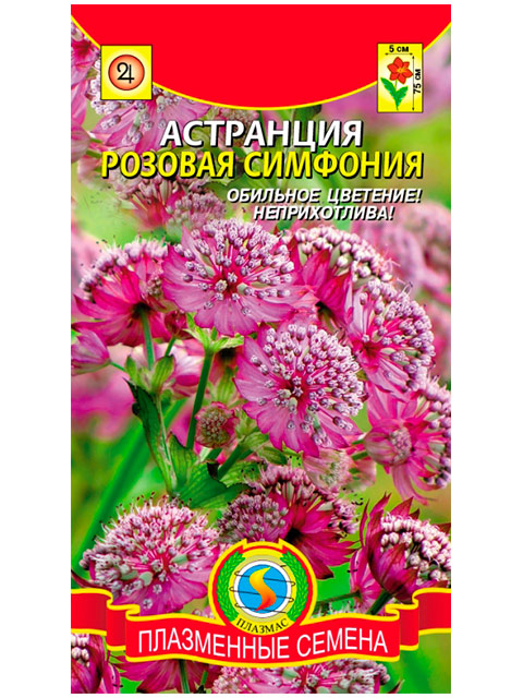 Астранция Розовая симфония, 5 штуки, ц/п, Плазмас