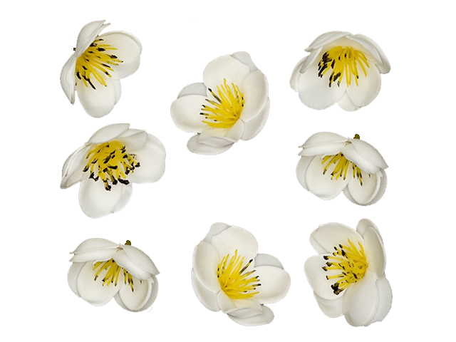 Головки цветов "Крокус" 4см, белый (цена за 1шт)