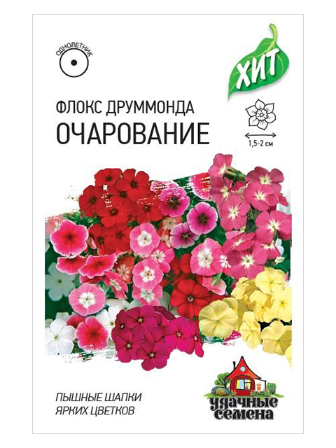 Флокс друммонда Очарование, смесь 0,2 г ХИТ х3