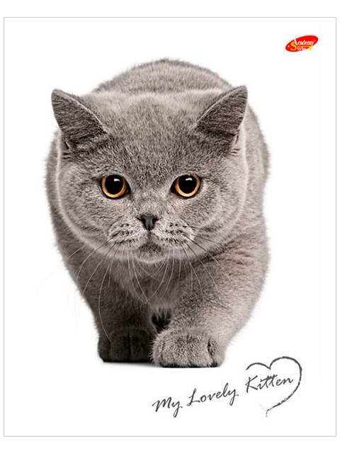 Дневник для старших классов Академия Холдинг "Серый кот на белом" интегральная обложка