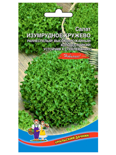 Семена кружева. Семена салат Изумрудное кружево. Салат Изумрудное кружево. Салат листовой Изумрудное кружево. Семена. Салат "изумрудный".