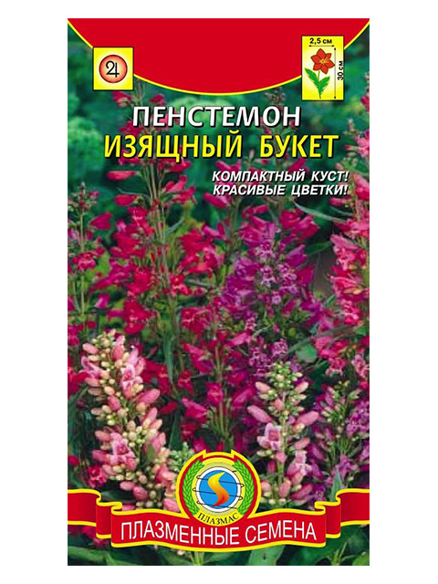 Купить Семена Пенстемона Многолетнего В Интернет Магазине