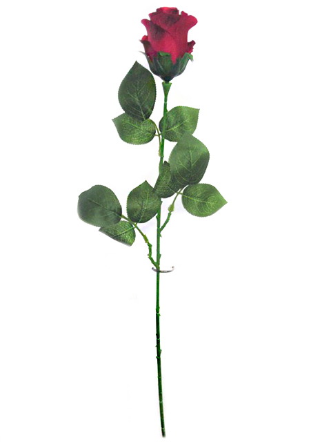 Роза одиночная h75см