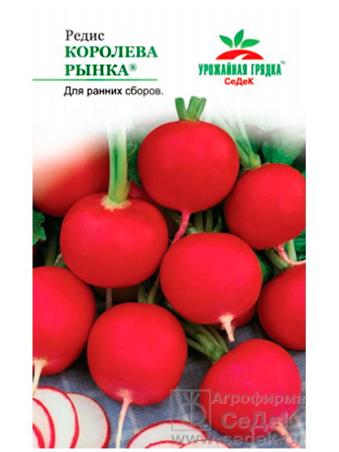 Редис Королева Рынка УГ ц/п