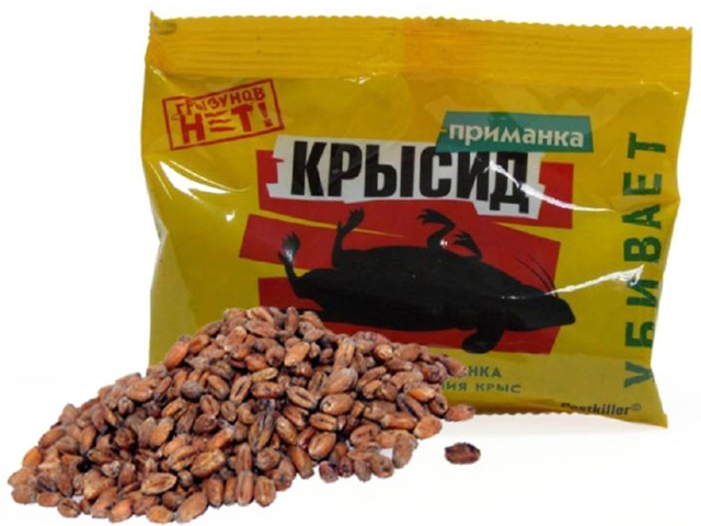 Какая приманка лучше для крыс