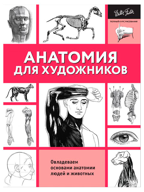 Анатомия для художников | Чудова А. / АСТ / книга А4 (12 +)  /Х.РИ./