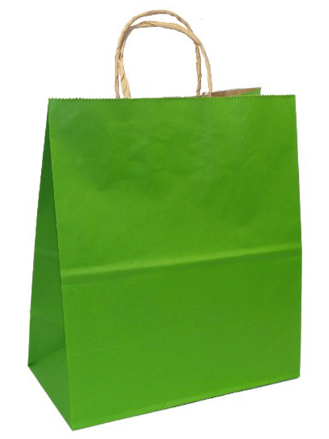 Пакет подарочный "Green" 25х22х12см