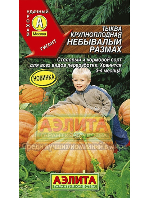 Тыква Небывалый размах, 2 г, ц/п, крупноплодная