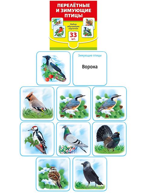 Набор обучающих карточек "Перелетные и зимующие птицы" 33 карточки