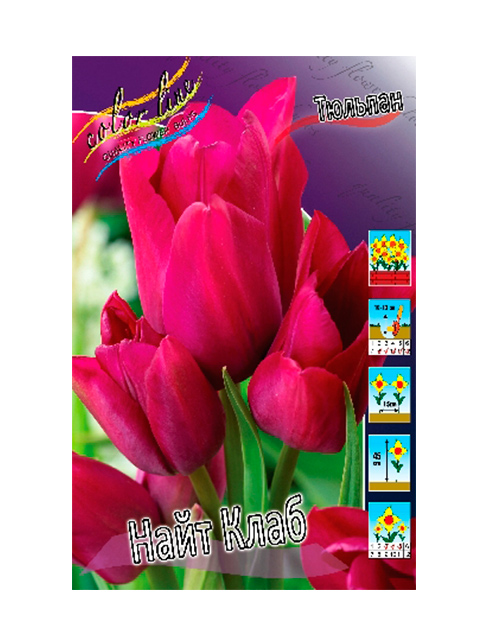 Тюльпан фейри клаб фото и описание