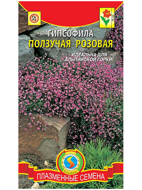 Гипсофила Ползучая Розовая, ц/п