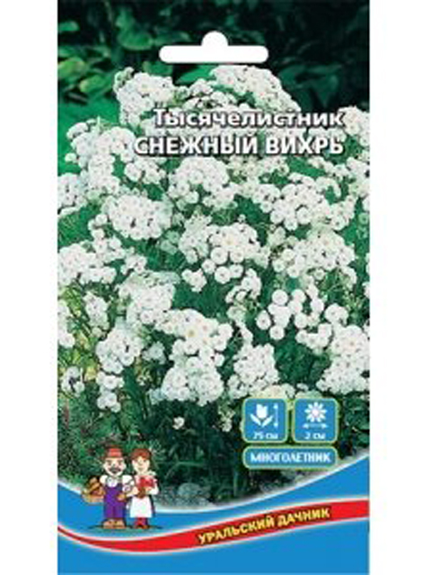 Цветы уральский дачник. Лакфиоль семена как выглядят. Семена уральский дачник каталог. Настурция аляска смесь (п). Виола лера крупноцветковая.